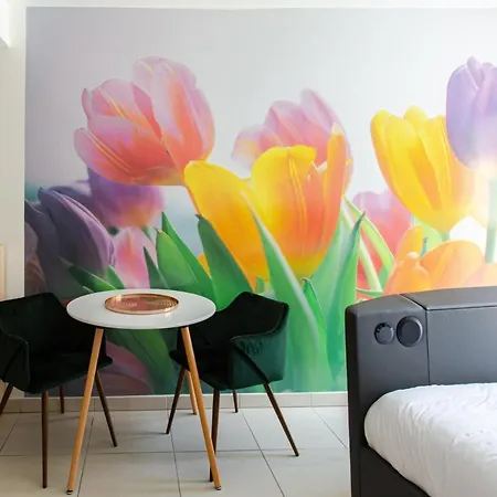 Klaus Furnished Studio Beausoleil