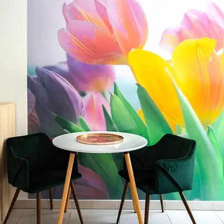 Klaus Furnished Studio